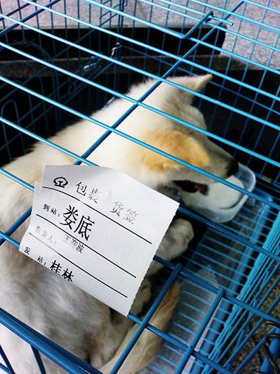 火车托运